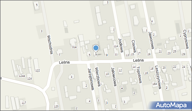 Janiszew, Leśna, 7, mapa Janiszew
