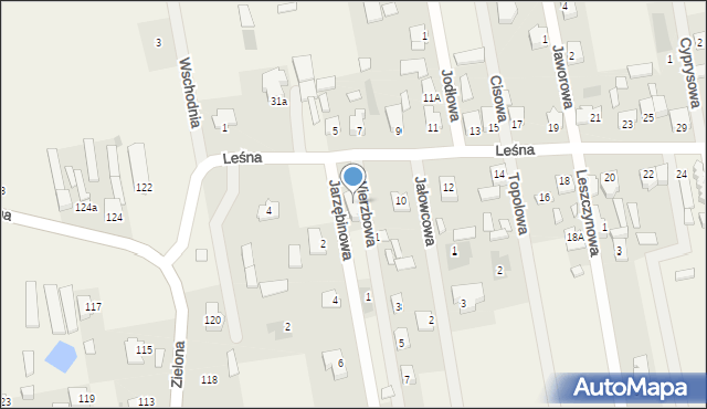 Janiszew, Leśna, 8, mapa Janiszew