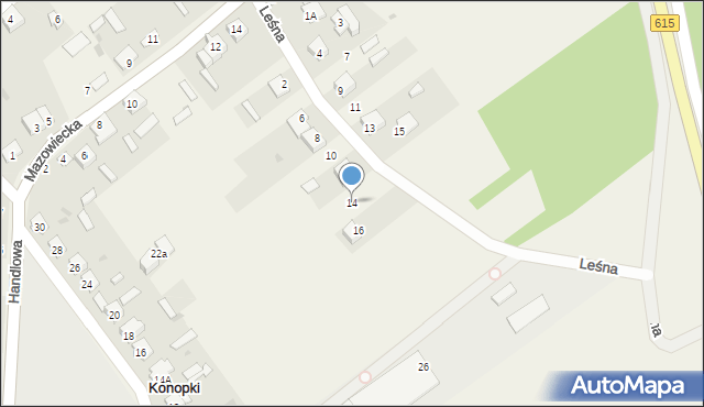 Konopki, Leśna, 14, mapa Konopki