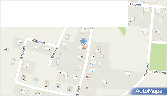 Kruszyn, Leszczynowa, 20a, mapa Kruszyn