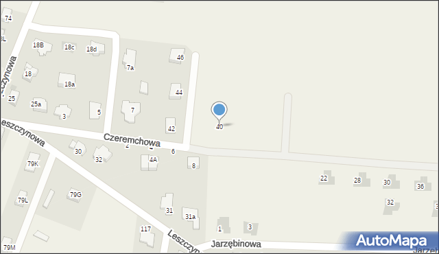 Kruszyn, Leszczynowa, 40, mapa Kruszyn