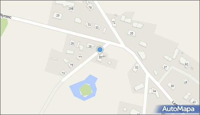 Lelkowo, Lelkowo, 30, mapa Lelkowo