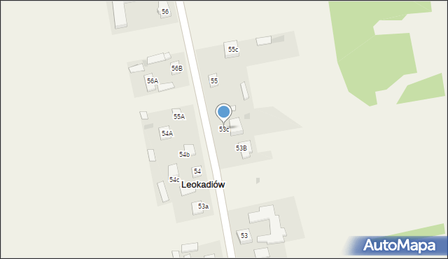 Leokadiów, Leokadiów, 53c, mapa Leokadiów