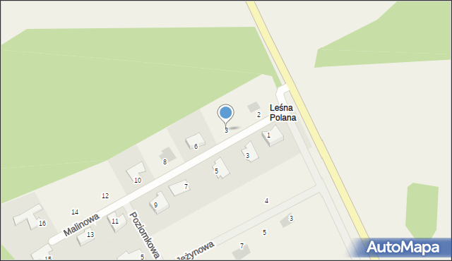 Leśna Polana, Leśna Polana, 3, mapa Leśna Polana
