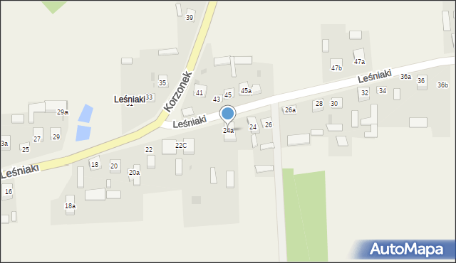 Leśniaki, Leśniaki, 24a, mapa Leśniaki