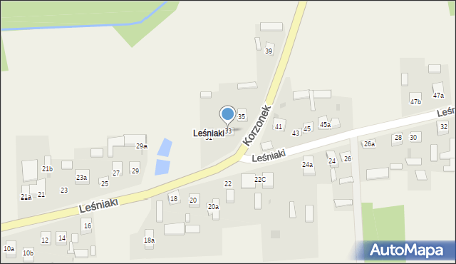 Leśniaki, Leśniaki, 33, mapa Leśniaki