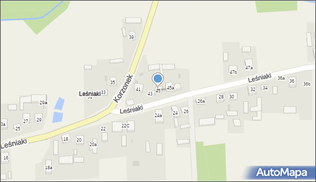 Leśniaki, Leśniaki, 45, mapa Leśniaki