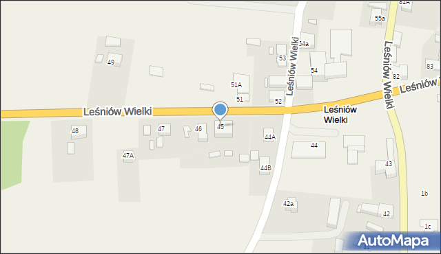 Leśniów Wielki, Leśniów Wielki, 45, mapa Leśniów Wielki