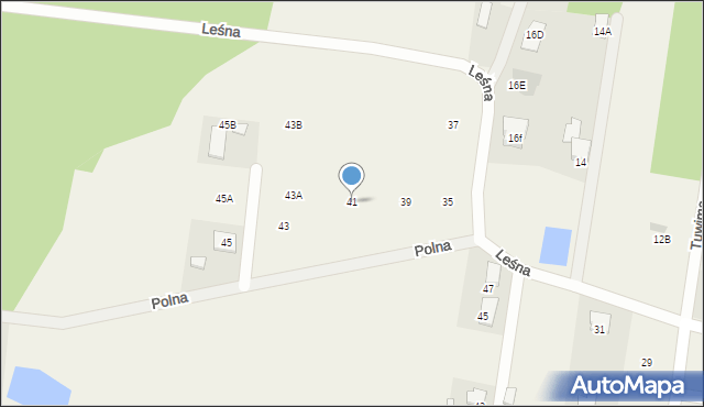 Leszno, Leśna, 41, mapa Leszno