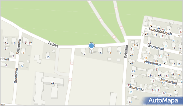 Leszno, Leśna, 7, mapa Leszno