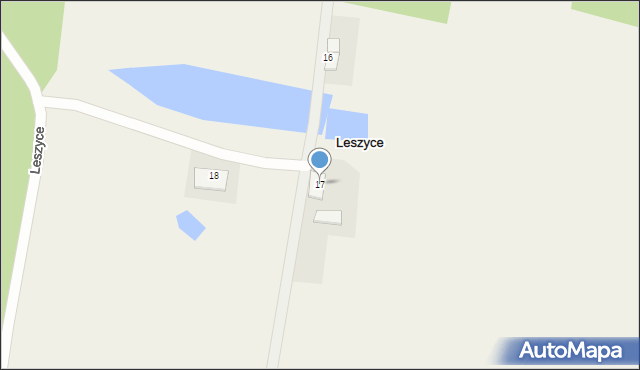 Leszyce, Leszyce, 17, mapa Leszyce