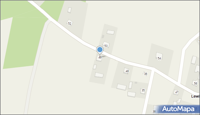 Lewiczyn, Lewiczyn, 49, mapa Lewiczyn