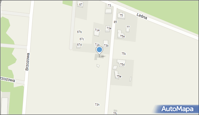 Myszkowice, Leśna, 73c, mapa Myszkowice