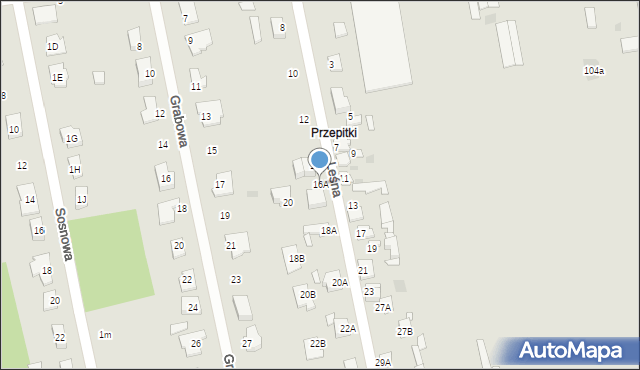 Nasielsk, Leśna, 16A, mapa Nasielsk