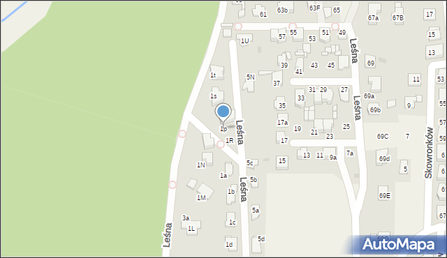 Nowe Chechło, Leśna, 1p, mapa Nowe Chechło