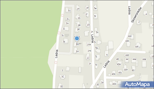 Nowe Chechło, Leśna, 3N, mapa Nowe Chechło