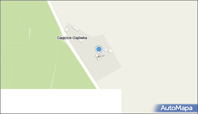 Nowe Gajęcice, Leśna, 60, mapa Nowe Gajęcice