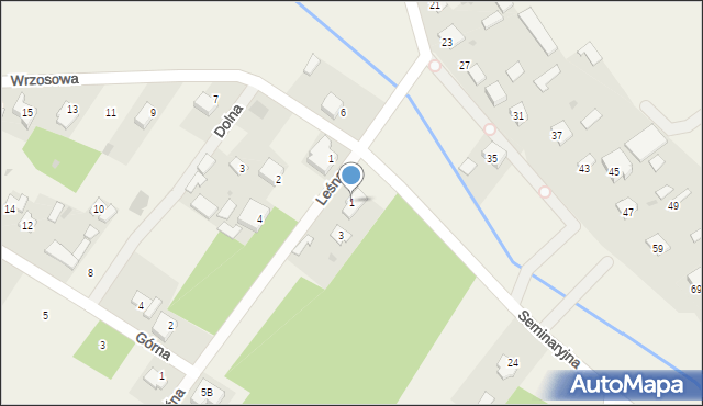 Nowe Opole, Leśna, 1, mapa Nowe Opole