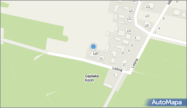 Nowy Kocin, Leśna, 16, mapa Nowy Kocin