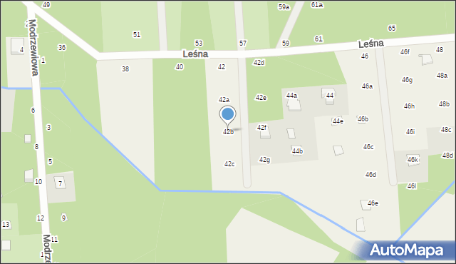 Nowy Prażmów, Leśna, 42b, mapa Nowy Prażmów