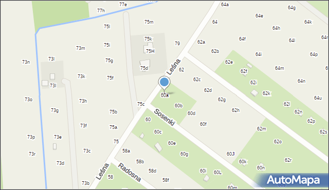 Nowy Prażmów, Leśna, 60a, mapa Nowy Prażmów