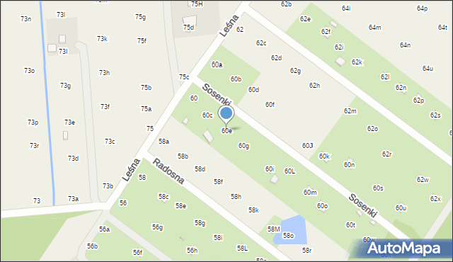 Nowy Prażmów, Leśna, 60e, mapa Nowy Prażmów