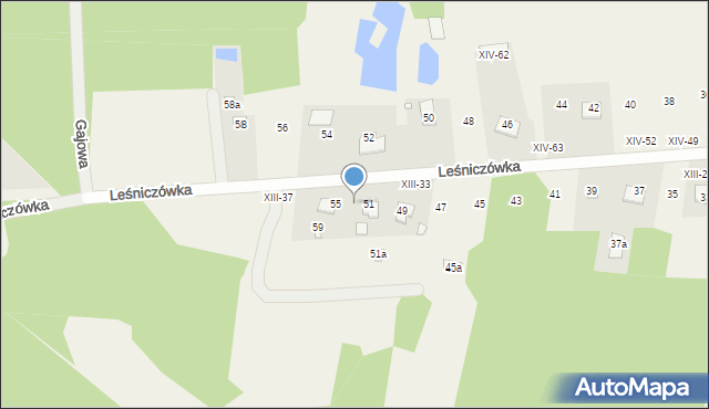 Okuninka, Leśniczówka, 53, mapa Okuninka