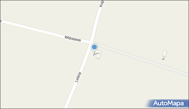 Ossy, Leśna, 1h, mapa Ossy