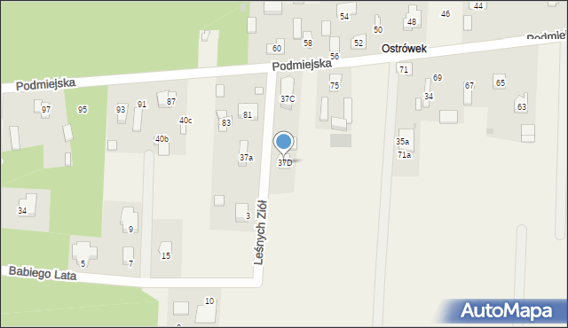 Ostrów, Leśnych Ziół, 1, mapa Ostrów