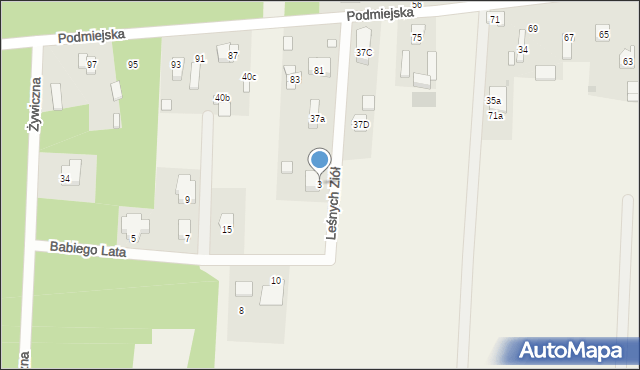 Ostrów, Leśnych Ziół, 6, mapa Ostrów