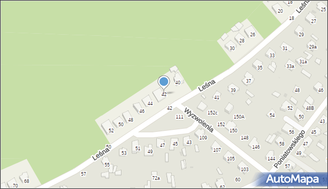 Pasieki, Leśna, 42, mapa Pasieki