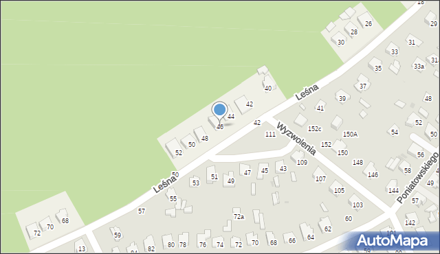 Pasieki, Leśna, 46, mapa Pasieki