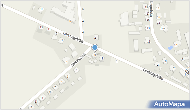 Pawłowice, Leszczyńska, 5, mapa Pawłowice