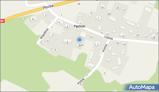 Pęchcin, Leśna, 10, mapa Pęchcin