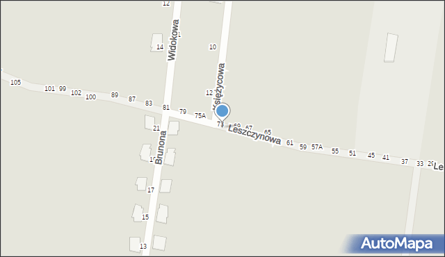 Piotrków Trybunalski, Leszczynowa, 80, mapa Piotrków Trybunalski