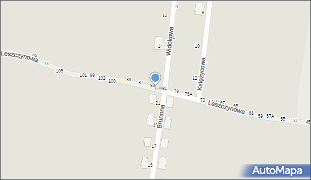 Piotrków Trybunalski, Leszczynowa, 90, mapa Piotrków Trybunalski