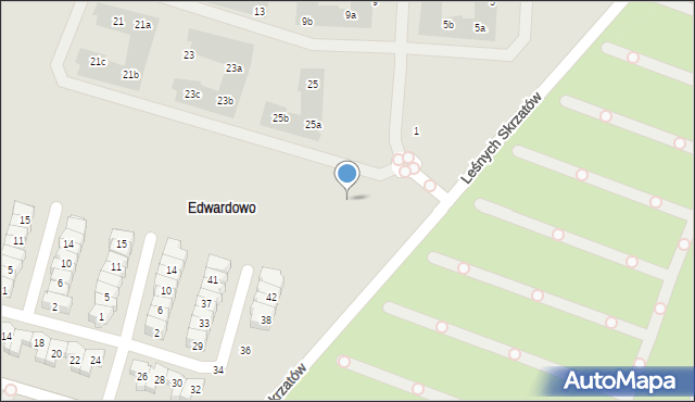 Poznań, Leśnych Skrzatów, 29, mapa Poznania