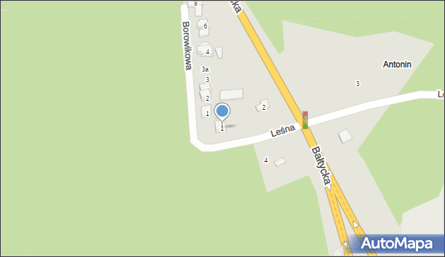 Poznań, Leśna, 1, mapa Poznania