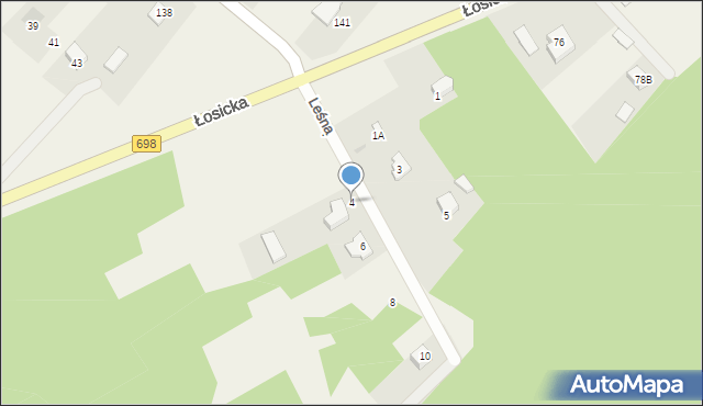Pruszyn, Leśna, 4, mapa Pruszyn