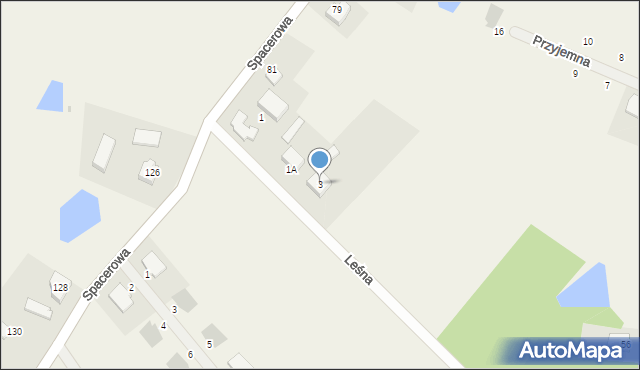 Przyjaźń, Leśna, 3, mapa Przyjaźń