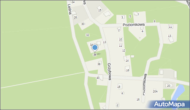 Puste Łąki, Leśna, 36, mapa Puste Łąki