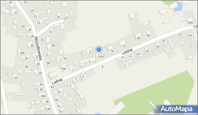 Rzerzęczyce, Leśna, 7, mapa Rzerzęczyce