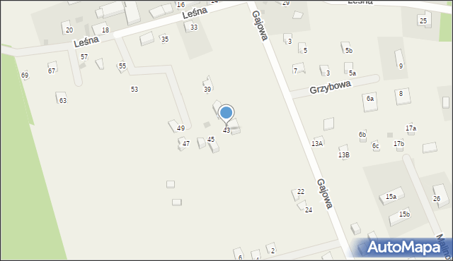 Sasino, Leśna, 43, mapa Sasino