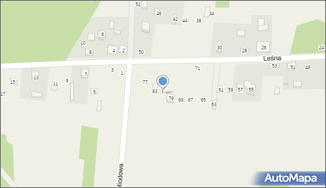 Siedlec Mały, Leśna, 81, mapa Siedlec Mały