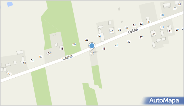Smagów, Leśna, 45, mapa Smagów