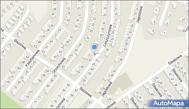 Smolec, Leszczynowa, 38, mapa Smolec