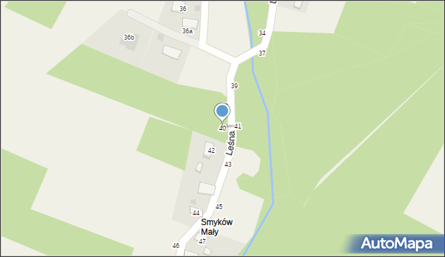 Smyków, Leśna, 40, mapa Smyków