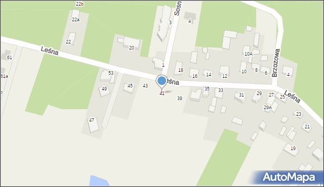 Sochonie, Leśna, 41, mapa Sochonie