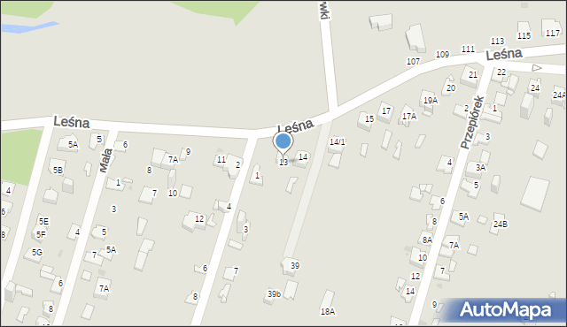 Sosnowiec, Leśna, 13, mapa Sosnowca