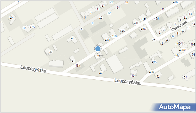 Święciechowa, Leszczyńska, 45, mapa Święciechowa